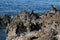 Closeup shot of a beautiful rocky coast of the ocean with blue waved water