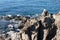 Closeup shot of a beautiful rocky coast of the ocean with blue waved water