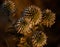 Closeup shot of beautiful thistle flowers on a blurred background