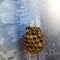 Closeup shot of a bee on a dry honeycomb on a wall