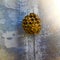 Closeup shot of a bee on a dry honeycomb on a wall