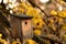 Closeup shot of a bird wooden nest on a tree