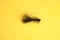 Closeup shot of a black fishing lure on a yellow background