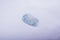 Closeup shot of a blue fingerprint on a white background