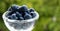 Closeup shot of blueberries in a glass bowl with blurry green background