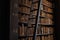 Closeup shot of bookshelves in the library with old volumes of books