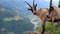 Closeup shot of brown feral goats in a mountain landscape