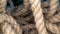 Closeup shot of a bunch of ropes