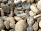 Closeup shot of a bunch of various rocks at a beach
