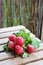 Closeup shot of a bundle of fresh red radish on a wooden surface