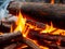 a closeup shot of a burning firewood on the ground, Ai Generated