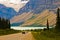 Closeup shot of cars riding near the lake in mountains in Canada