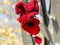 Closeup shot of a chain of knitted poppies