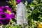 Closeup shot of a clear beautiful crystal tower in a bush