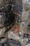 Closeup shot of coins tossed around a circular wall made of rocks