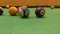 Closeup shot of colorful billiard balls on the table