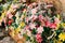 Closeup shot of cosmea flowers in a pot