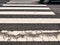 Closeup shot of cracked white crosswalk lines on asphalt