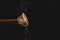 Closeup shot of a cup of hot coffee falling off the edge of a wooden table on a black background