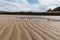 Closeup shot of curved rows on a field