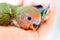 Closeup shot of a cute baby peach faced love bird in a person`s palm