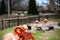 Closeup shot of a cute flamingo with others in the blurry background