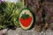 Closeup shot of a cute painted rock with a strawberry