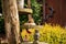 Closeup shot of a cute squirrel sitting on a backyard handicraft tree shelf