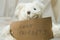 Closeup shot of a cute white toy bear holding the label \\\