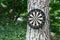 Closeup shot of a dartboard on a tree with greenery on the background