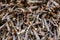 Closeup shot of dried tree logs beautifully ordered in a stack, prepared for the further use