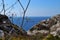 Closeup shot of a dry wildflower and branches on rocky cliff and sea background