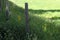 Closeup shot of electric fencing and flowers in a field