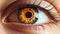 Closeup shot of an epic eye, gorgeous orange, fiery iris of a beautiful woman eye. Generative AI