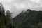 Closeup shot of evergreen trees in front of a forest on a mountainside