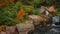 Closeup shot of an exquisite lush Japanese garden with a waterfall in early autumn