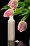 Closeup shot of facial cream/lotion and tulips