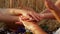 Closeup Shot Of Family Stacking Hands Together While Having Picnic Outdoors