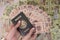 Closeup shot of female hands holding a Mexican passport and five hundred peso banknotes