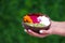 Closeup shot of a female holding a bowl of sliced fruits in her hands