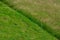 Closeup shot of a field with grass mowed half at daytime