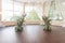 Closeup shot of floral decorations in an empty wedding venue with transparent windows