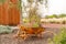 Closeup shot of flowers and plants in a rusty yellow wheelbarrow in a yard