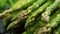 Closeup Shot Of Fresh Green Asparagus Spears With Water Droplets. Generative AI