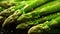 Closeup Shot Of Fresh Green Asparagus Spears With Water Droplets. Generative AI