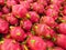 Closeup shot of fresh Pitaya fruits in a bunch in the market