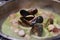 Closeup shot of freshly-made delicious mussel soup in a pot