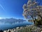 Closeup shot of the Geneva lake in Clarens, Montreux, Switzerland