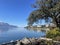 Closeup shot of the Geneva lake in Clarens, Montreux, Switzerland