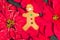 Closeup shot of a gingerbread man cookie near beautiful red flowers